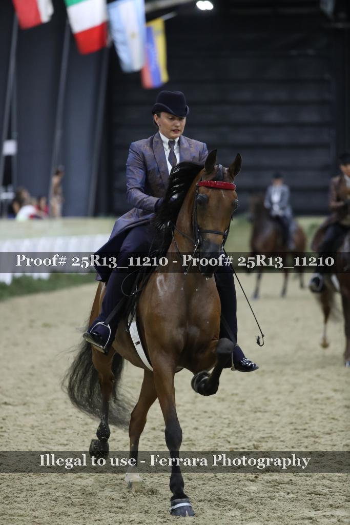 Proof 25R13_11210