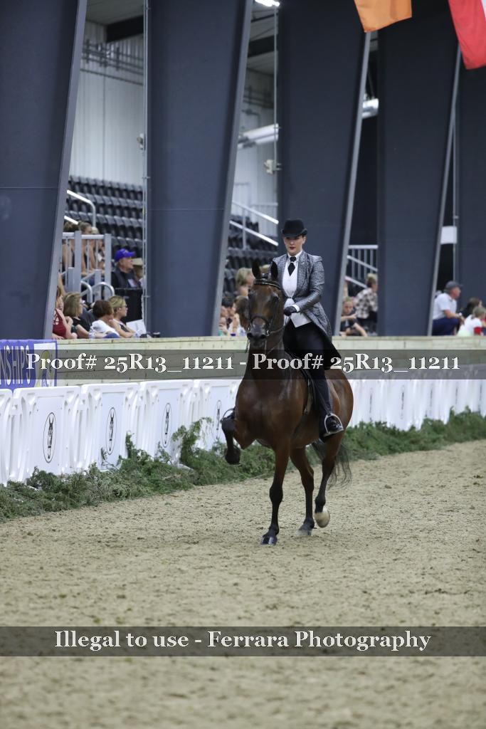 Proof 25R13_11211