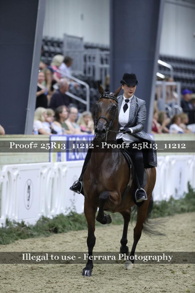 Proof 25R13_11212