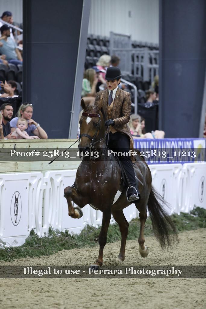 Proof 25R13_11213