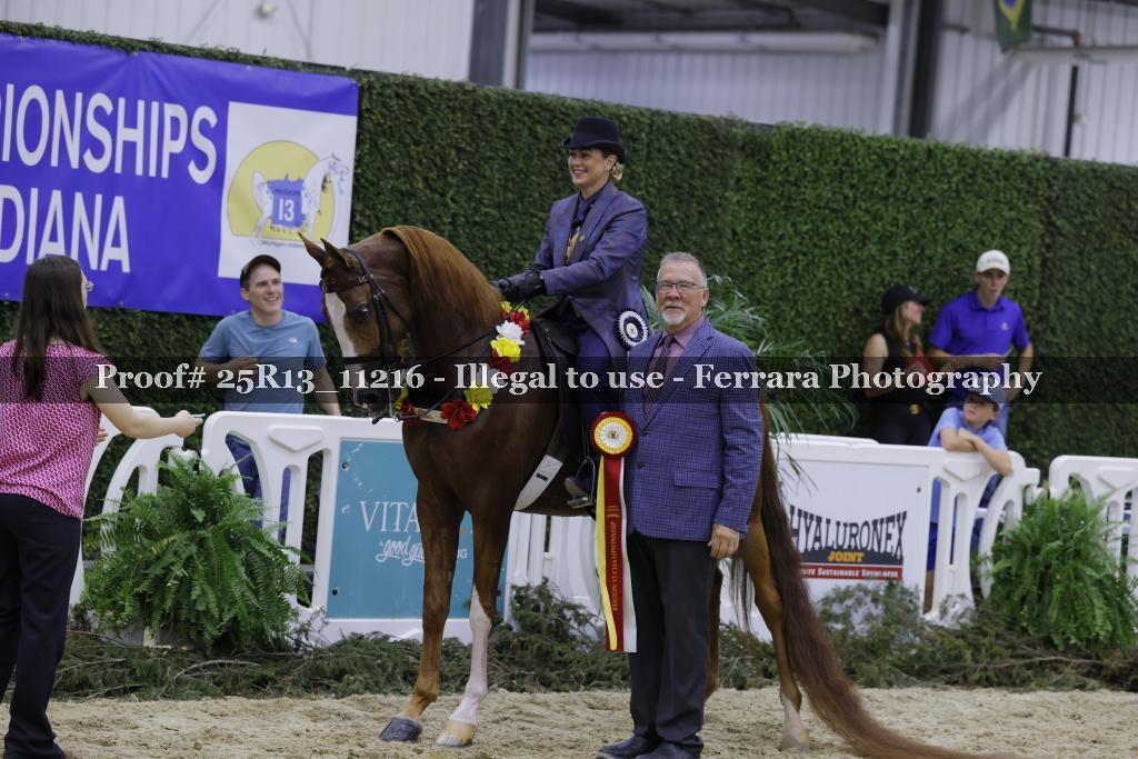 Proof 25R13_11216