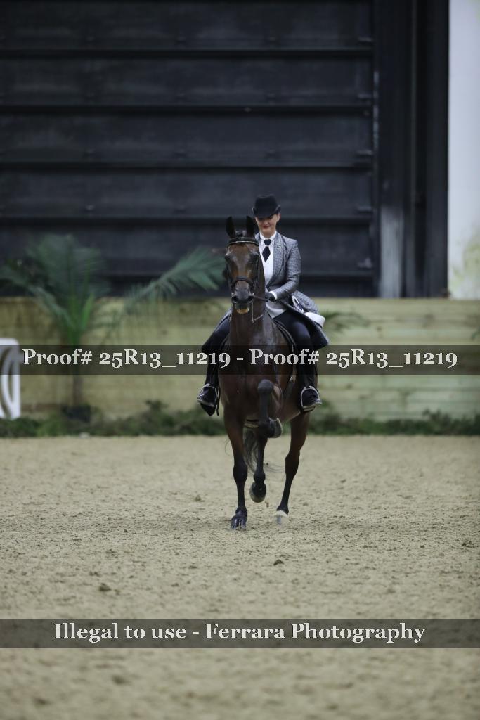 Proof 25R13_11219