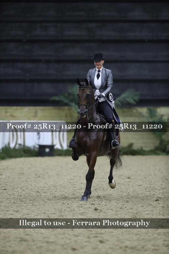 Proof 25R13_11220