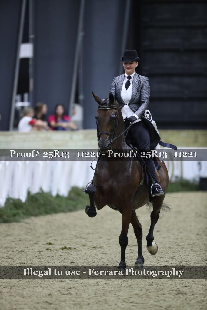 Proof 25R13_11221