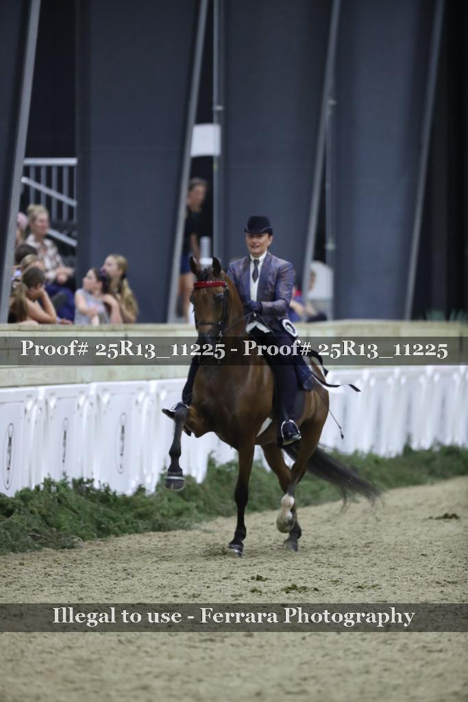 Proof 25R13_11225