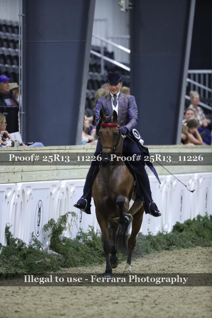 Proof 25R13_11226