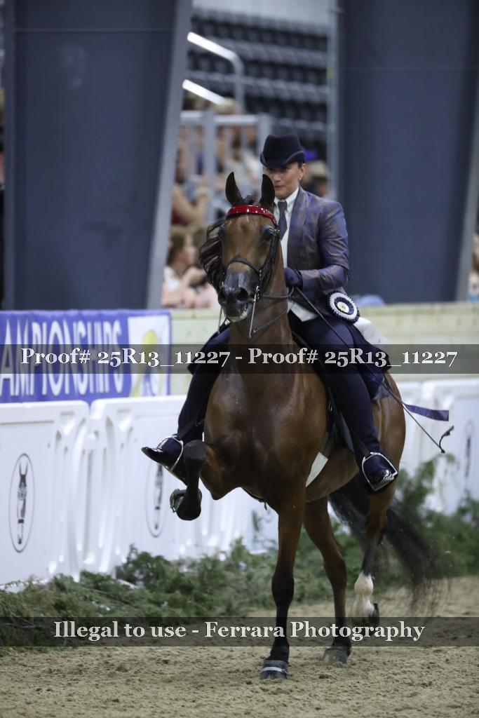 Proof 25R13_11227