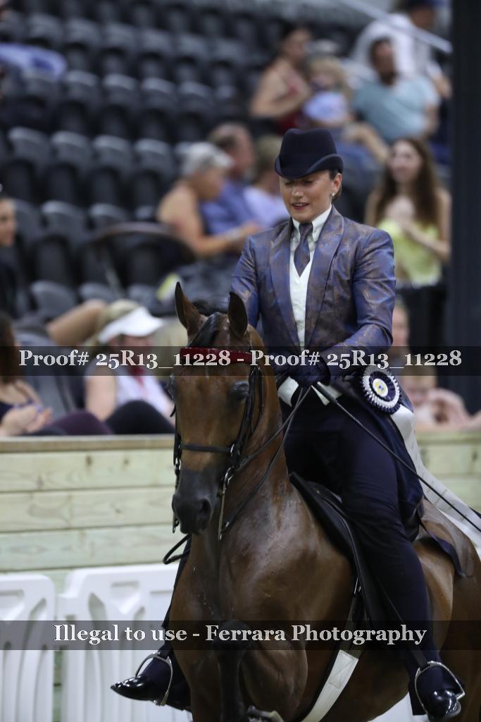 Proof 25R13_11228