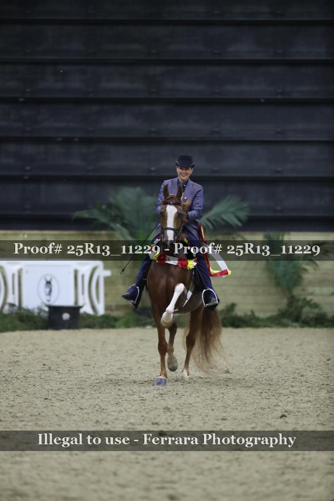 Proof 25R13_11229