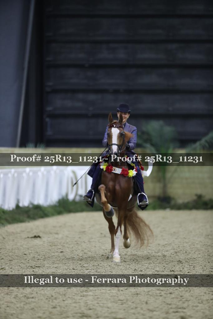 Proof 25R13_11231