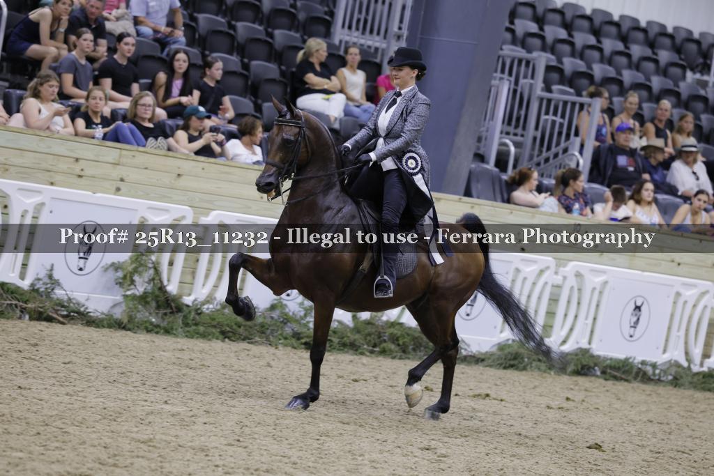 Proof 25R13_11232
