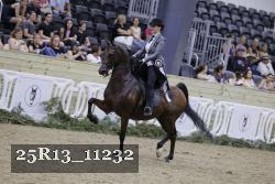 25R13_11232 proof