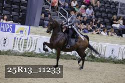 25R13_11233 proof