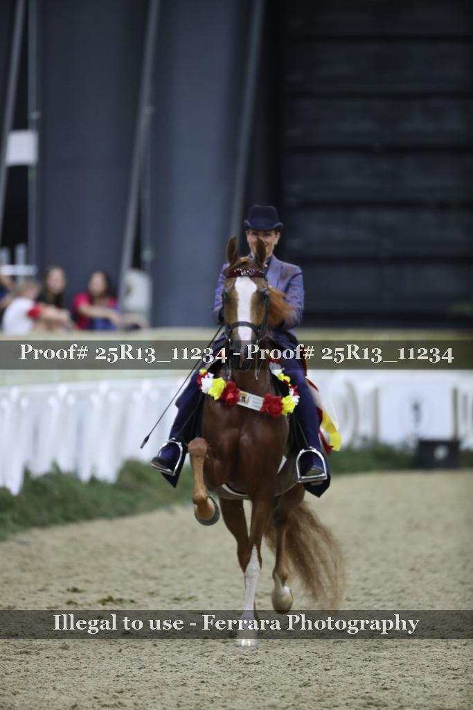 Proof 25R13_11234