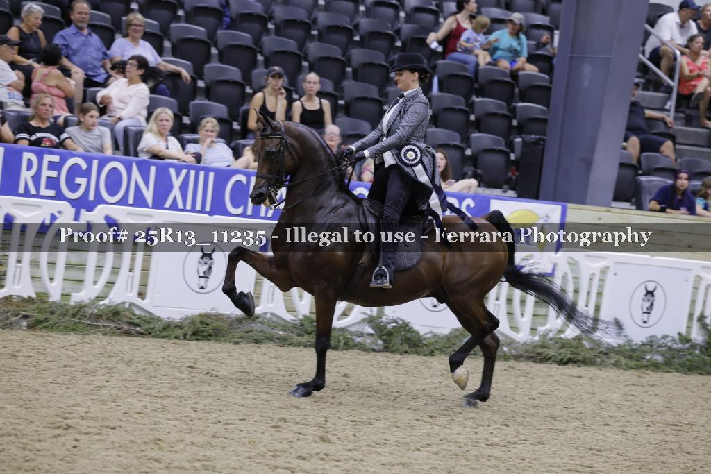 Proof 25R13_11235