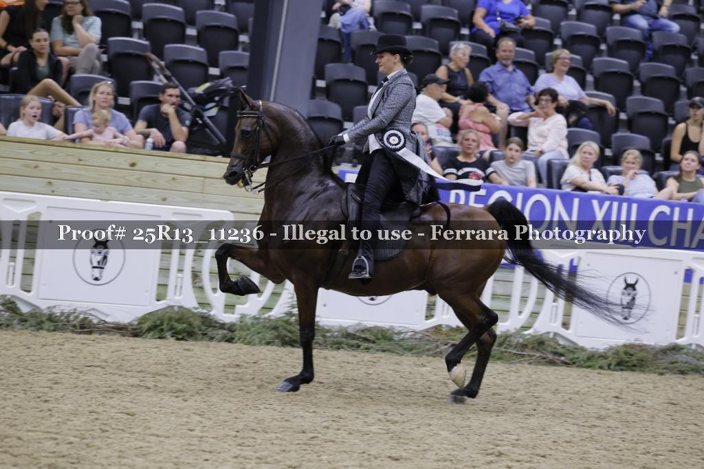 Proof 25R13_11236