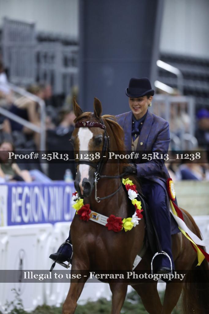 Proof 25R13_11238