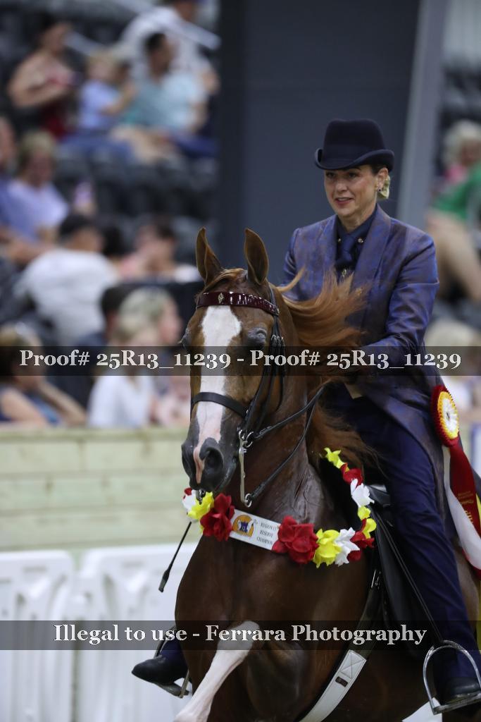 Proof 25R13_11239