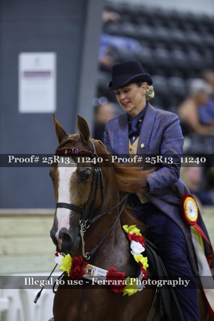 Proof 25R13_11240