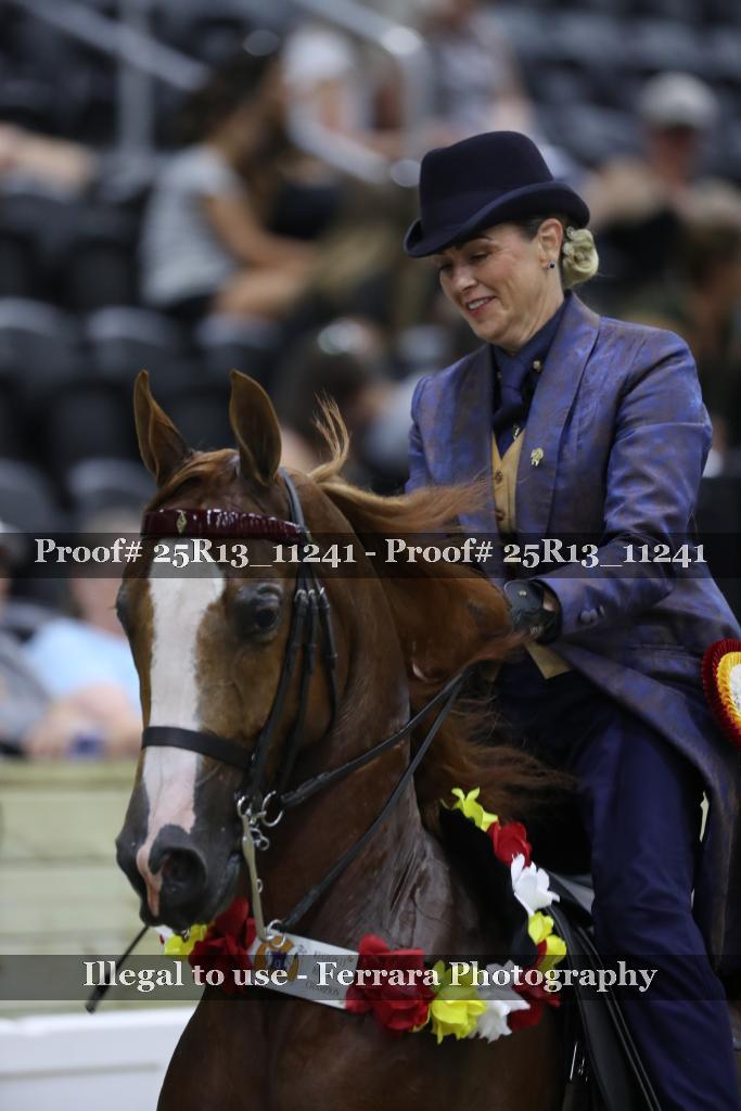 Proof 25R13_11241