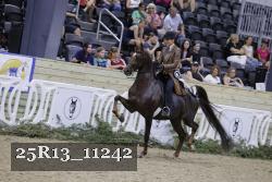 25R13_11242 proof
