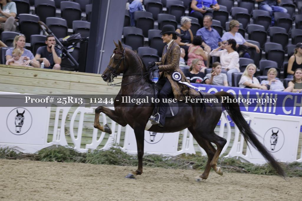 Proof 25R13_11244