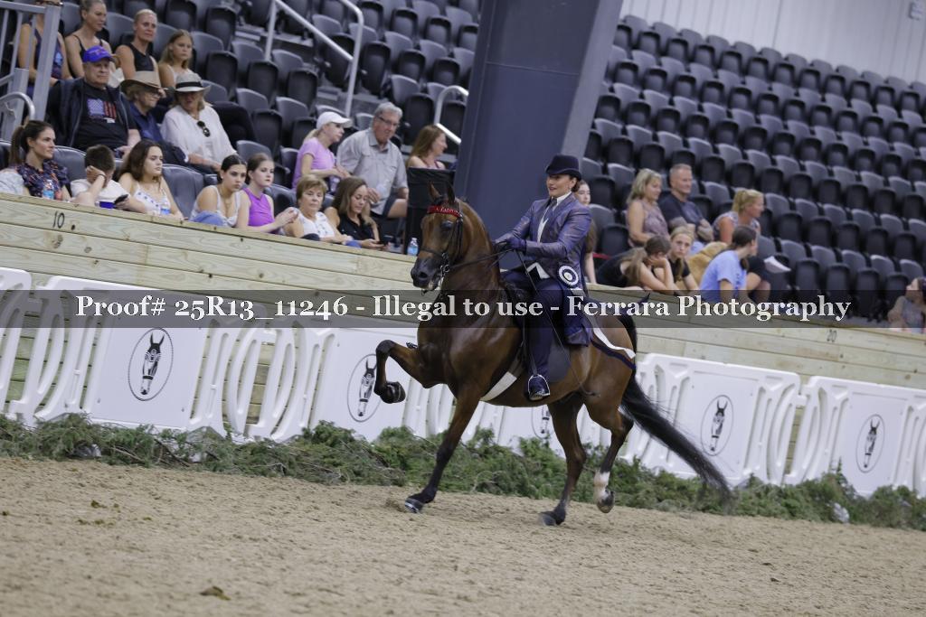 Proof 25R13_11246
