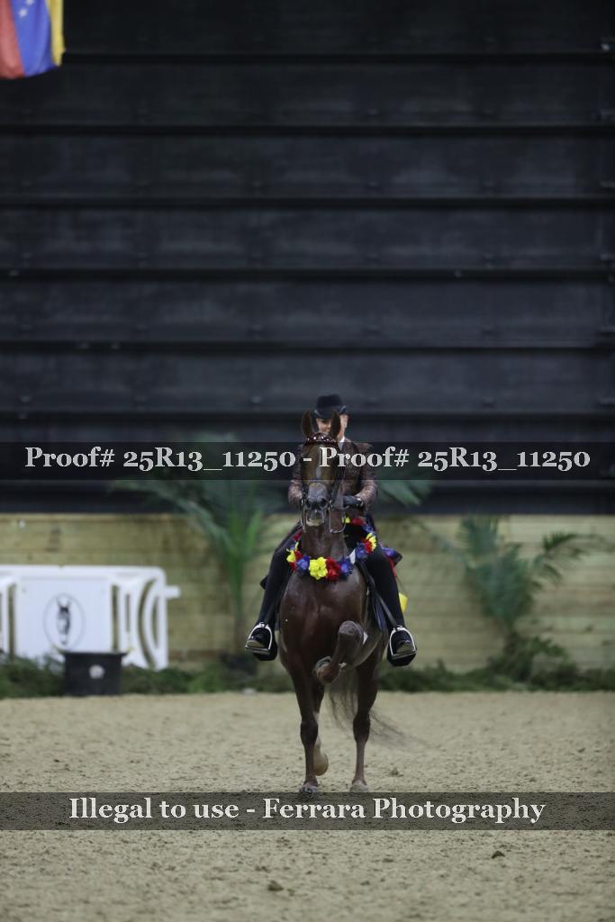 Proof 25R13_11250
