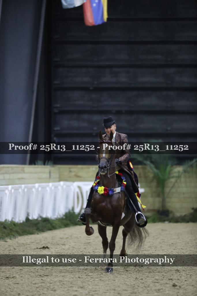 Proof 25R13_11252