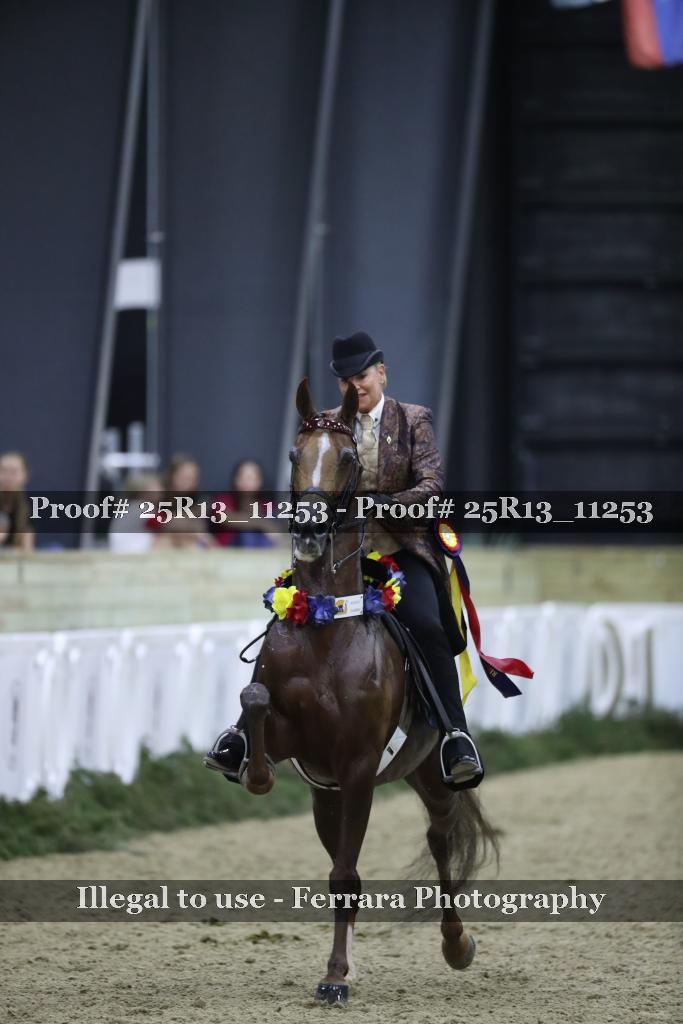 Proof 25R13_11253