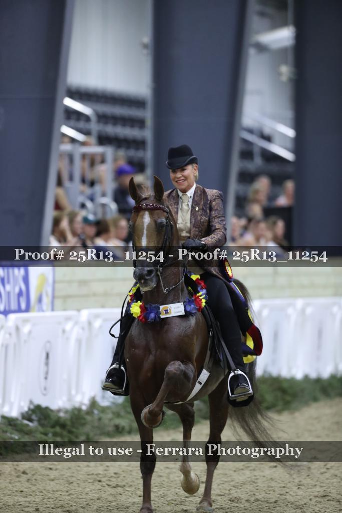 Proof 25R13_11254