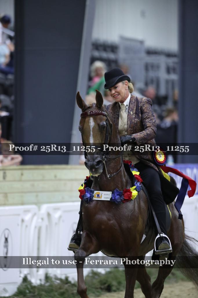 Proof 25R13_11255