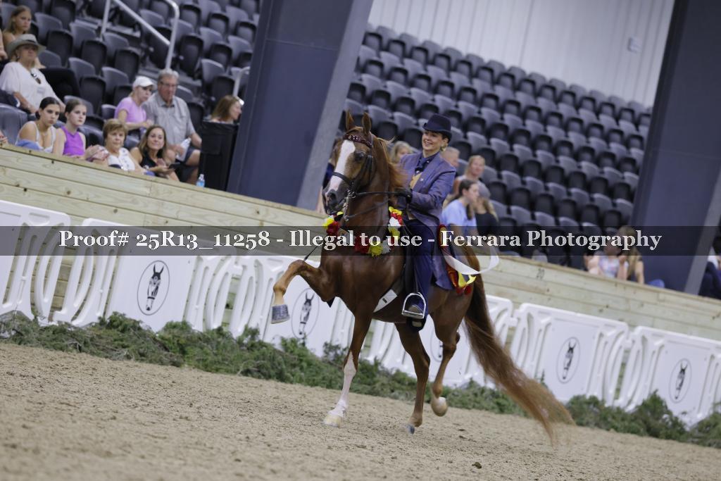 Proof 25R13_11258