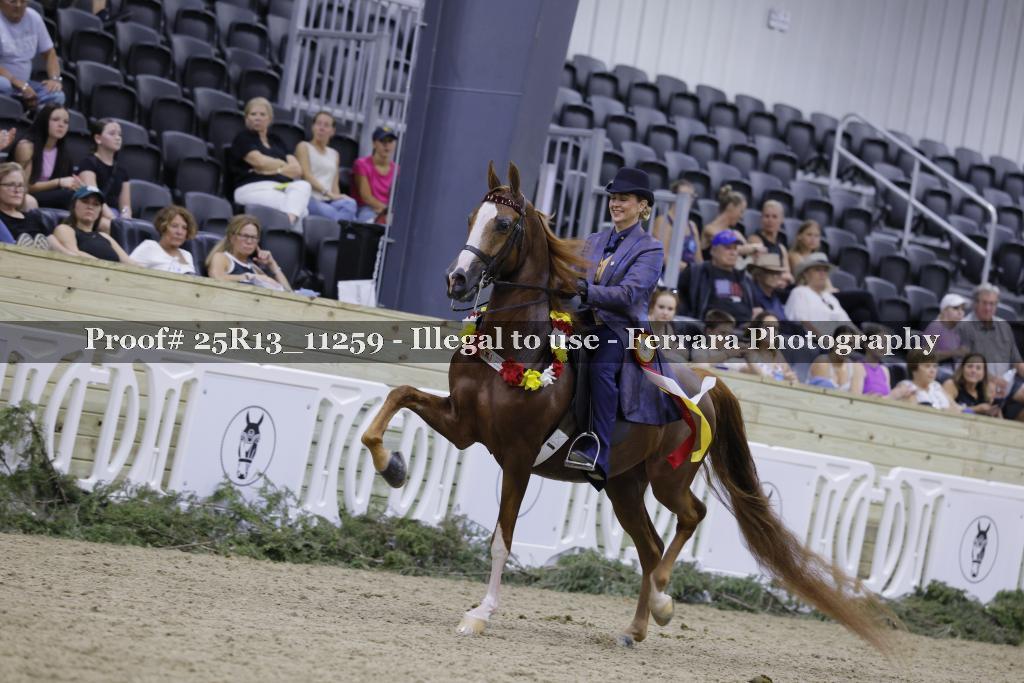 Proof 25R13_11259