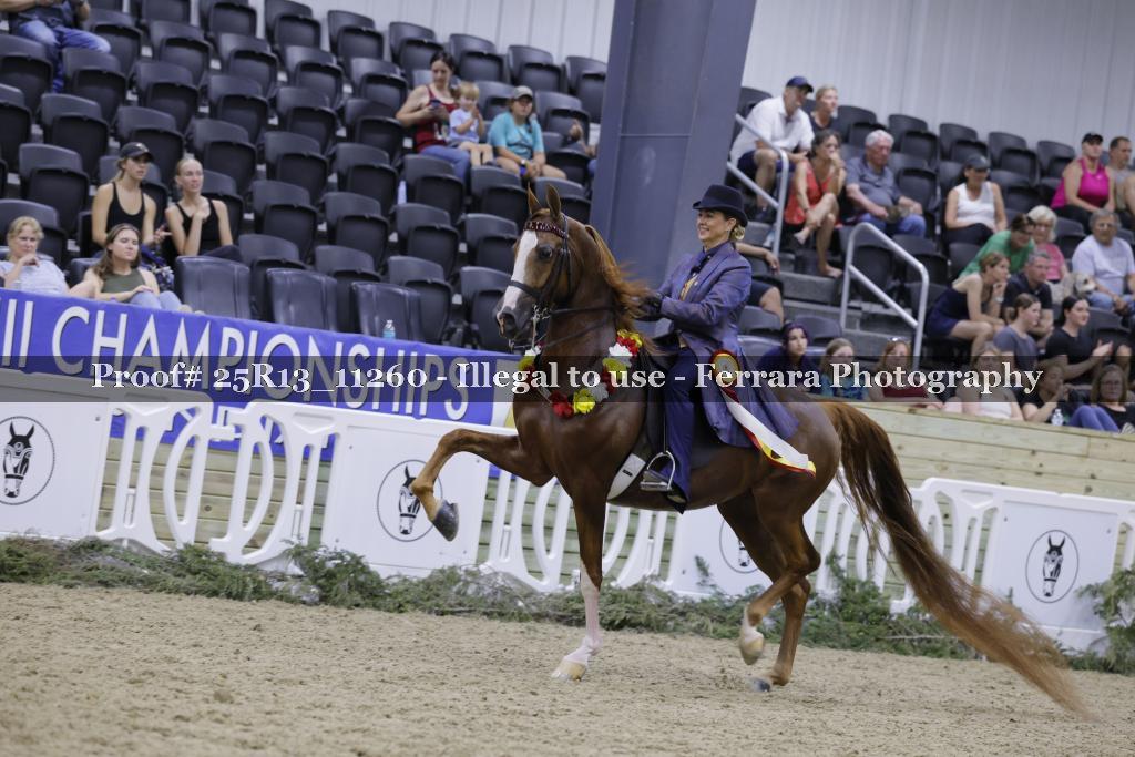 Proof 25R13_11260