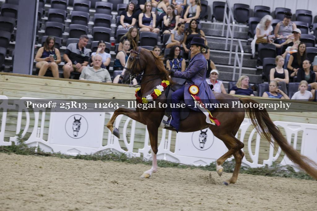 Proof 25R13_11263