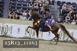 25R13_11263 proof
