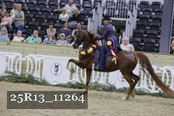 25R13_11264 proof