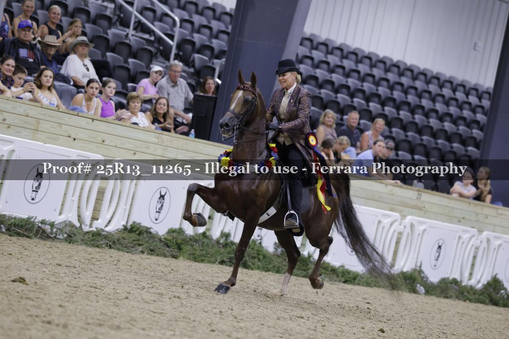 Proof 25R13_11265