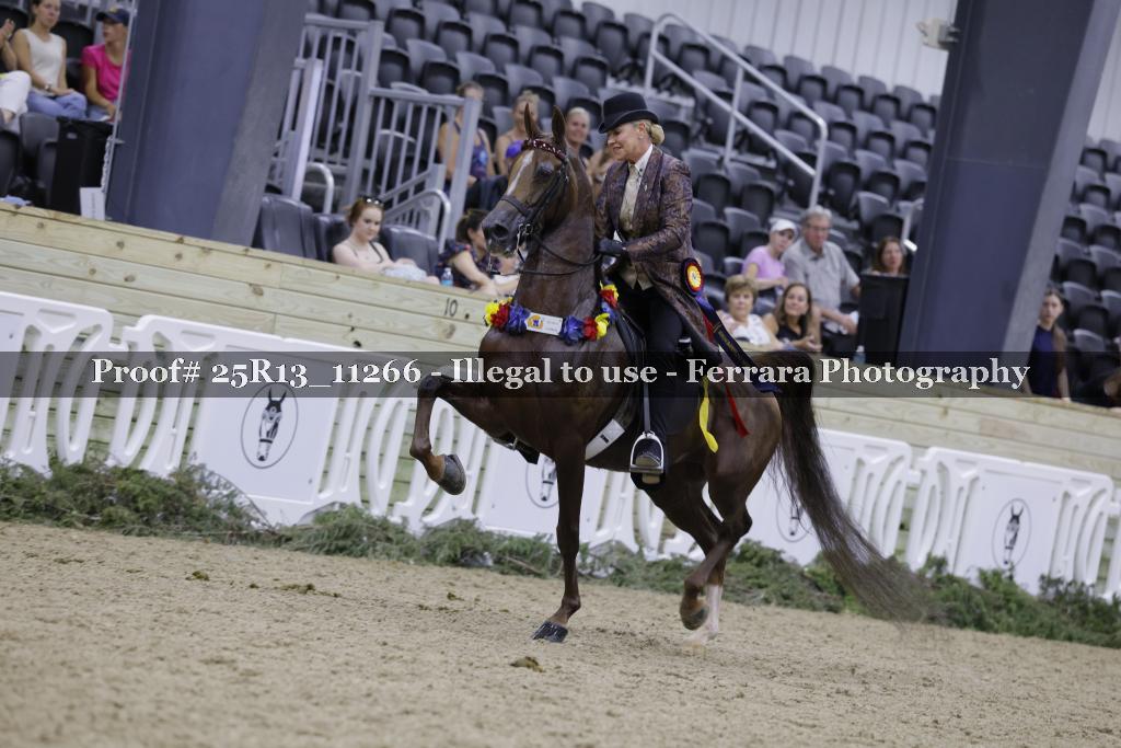 Proof 25R13_11266