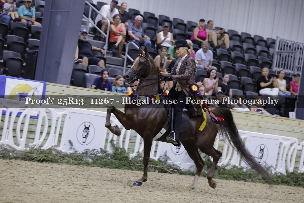 Proof 25R13_11267
