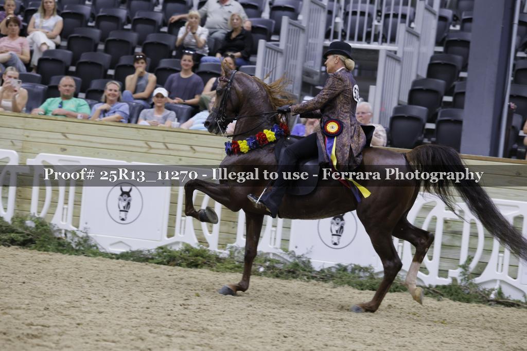 Proof 25R13_11270