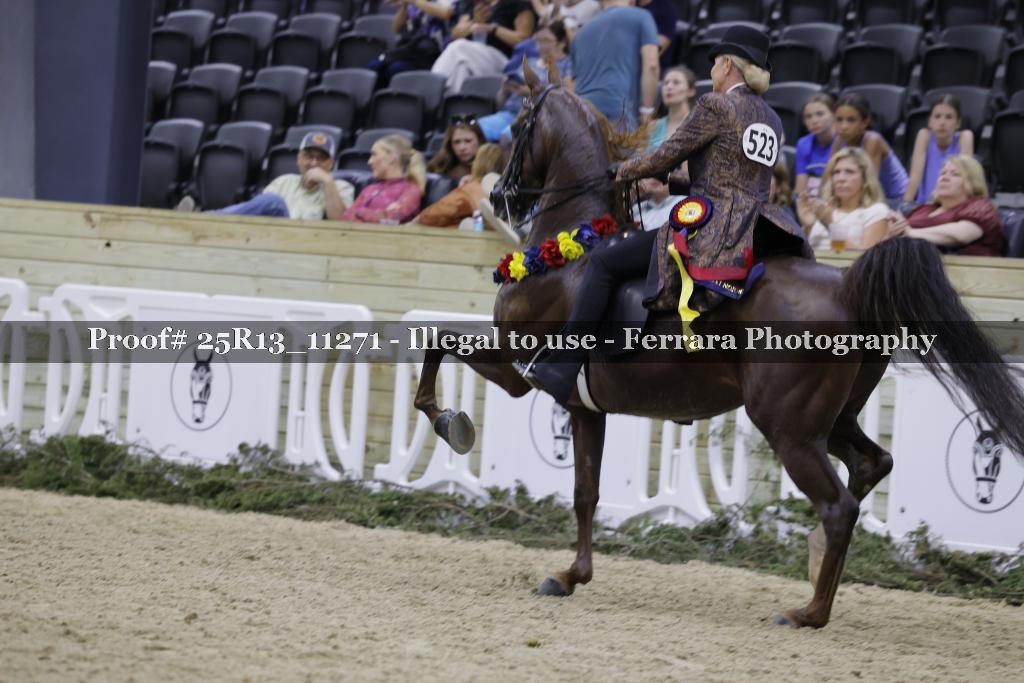 Proof 25R13_11271
