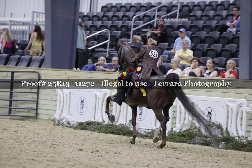 Proof 25R13_11272