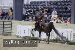 25R13_11272 proof
