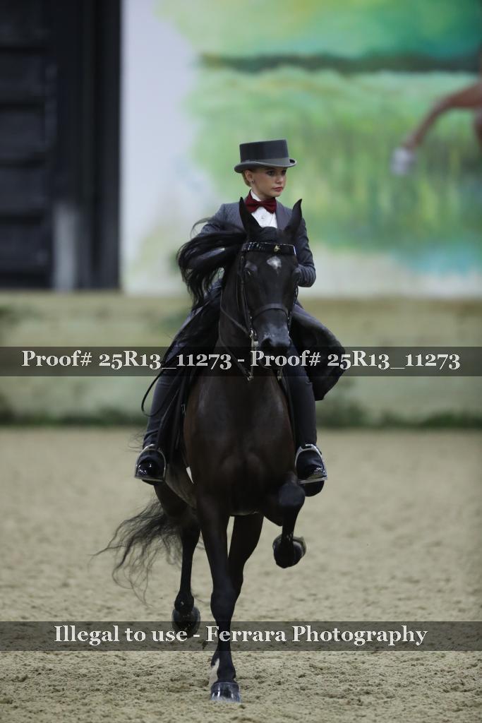 Proof 25R13_11273