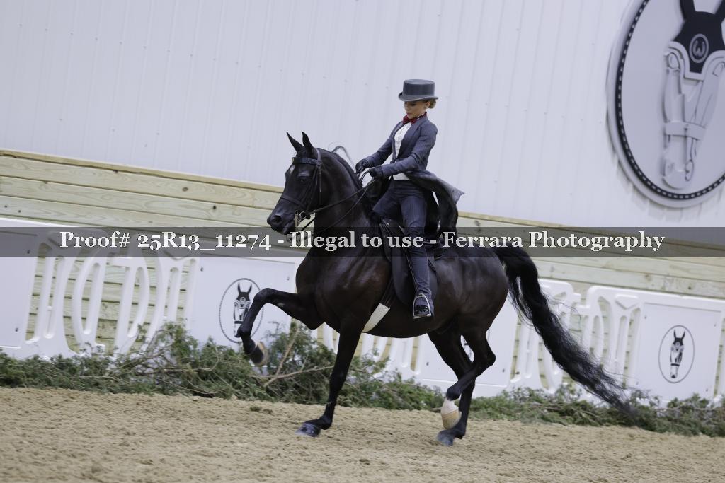 Proof 25R13_11274