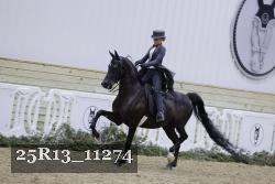 25R13_11274 proof