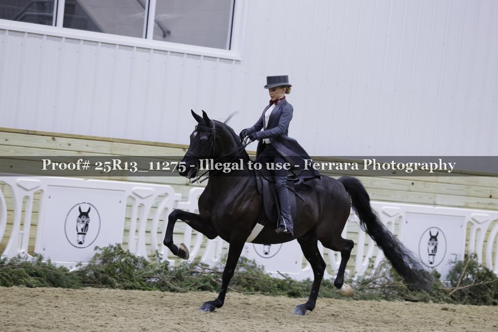 Proof 25R13_11275
