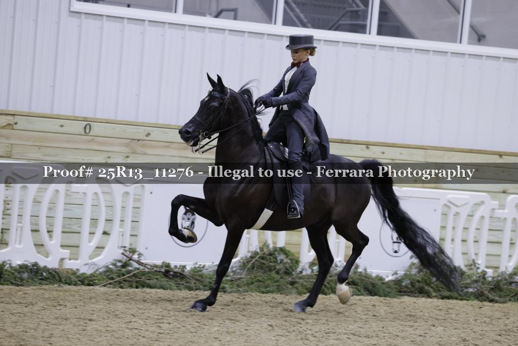 Proof 25R13_11276